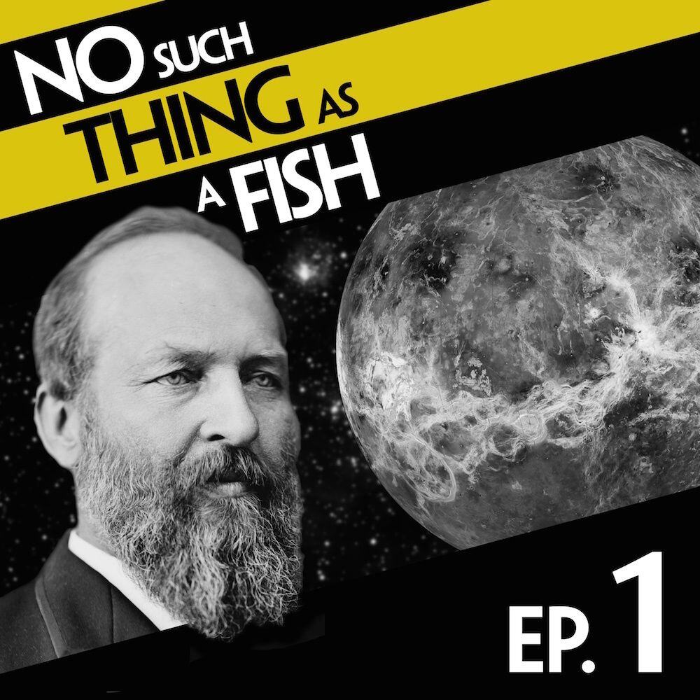 1. No Such Thing As A Pilot Fish